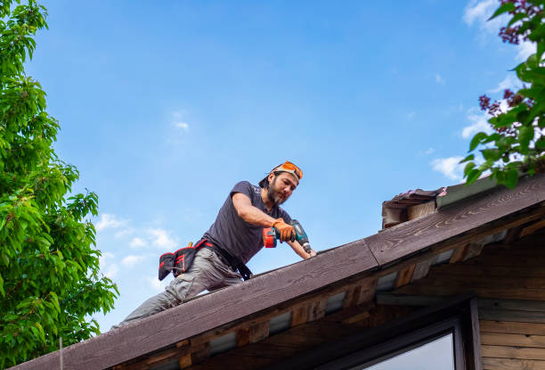Best Roof Moss and Algae Removal  in Mart, TX